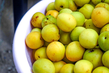 Fresh yellow  plums, light green plums background. - 678293365