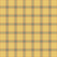 Tartan plaid pattern with texture.