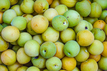 Fresh yellow  plums, light green plums background. - 678293378
