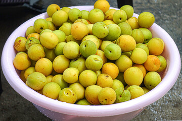 Fresh yellow  plums, light green plums background. - 678293379