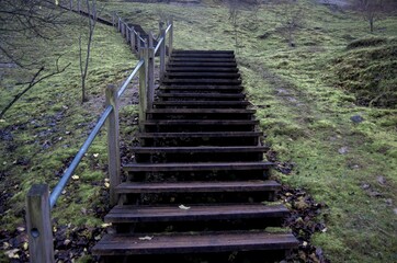 Wooden stairs going up a rural green grassy hill - Powered by Adobe