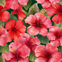 Tropical hibiscus flower pattern. Leaves and flower of a wild plant. Tropics, jungle, Hawaii	
