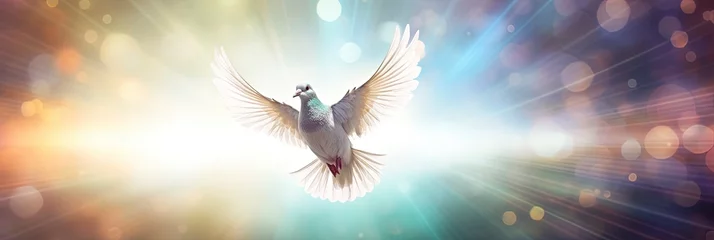 Fotobehang white dove of peace flying in the sky. Hope for peace concept illustration. © W&S Stock