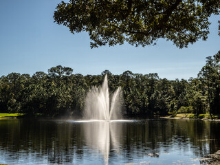 Naklejka premium fountain in the park