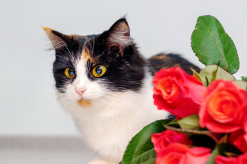 Fototapety na wymiar - Fototapeta24.pl