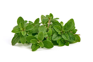 Fresh sweet marjoram herb, isolated on the white background.