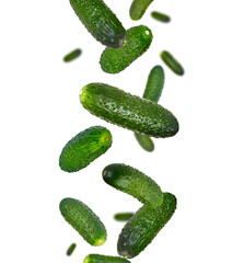 Gherkin cucumbers fall in space. Isolated on white