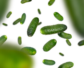 Gherkin cucumbers fly and levitate in space. Isolated on white