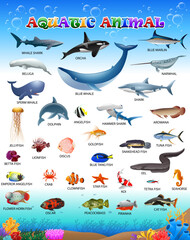 Poster of a collection of aquatic animals