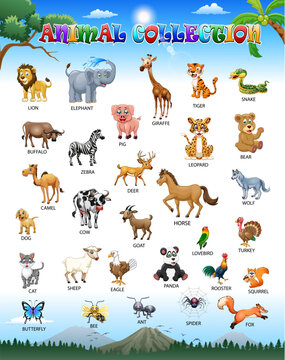 Collection of exotic wild animals isolated on white background. Bundle of fauna species living in savannah, jungle and desert.