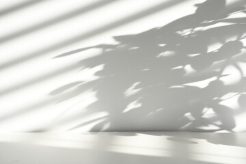 white background, shadows, plant shadows - obrazy, fototapety, plakaty