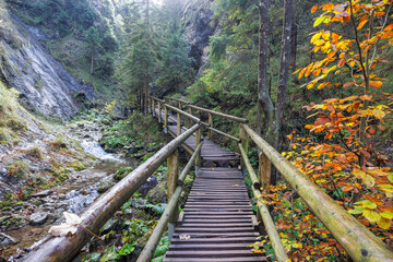 A wooden footbridge over a stream in autumn forest. The Mala Fatra national park in Slovakia, Europe.