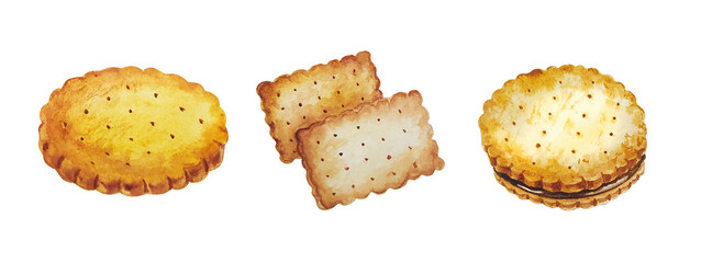 Watercolor set of hand drawn elements of cookies