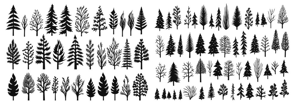 Pine tree silhouettes. Evergreen forest firs and spruces black shapes, wild nature trees templates