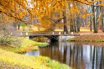 Autumn Alexander park, Tsarskoe Selo (Pushkin), Saint Petersburg, Russia - obrazy, fototapety, plakaty
