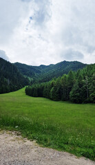 landscape in the mountains