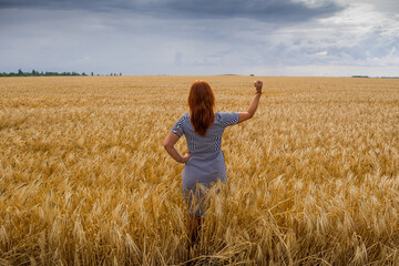 Naklejka na ściany i meble Girl in a wheat field