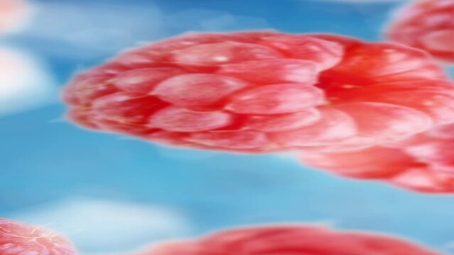 Raspberries tossed in the air falling down in slow motion with bokeh