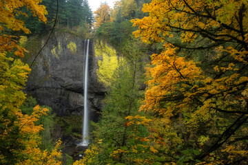 Latourell Falls in the Columbia Gorge, Oreron, Taken in Autumn - obrazy, fototapety, plakaty