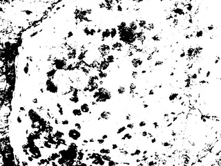 Rustic grunge vector texture with grain and stains. Abstract noise background. Weathered surface. Dirty and damaged. Detailed rough backdrop. Vector graphic illustration with transparent white. EPS10.