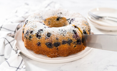 Lemon blueberry bundt cake with powdered sugar dusting