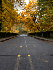 Latourell Bridge on the Historic Columbia River Highway, Columbia Gorge, Oregon, Taken in Autumn
