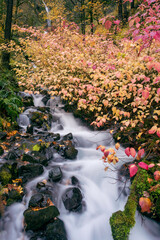 Wahkeena Falls in the Columbia Gorge, Oregon, Taken in Autumn