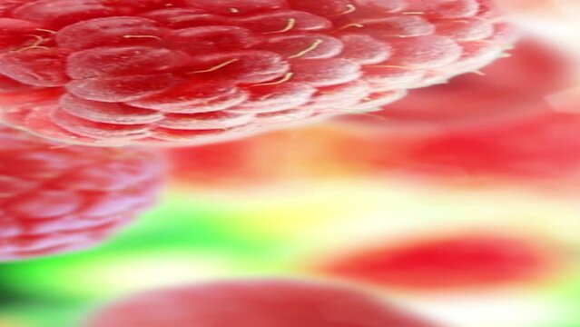 Raspberries tossed in the air falling down in slow motion
