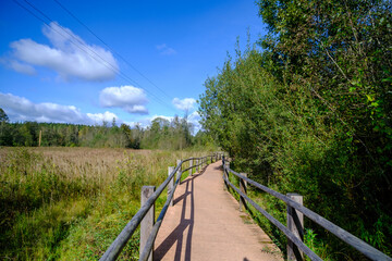Fototapeta premium A wooden bridge, a path with a railing as a place for tourists to walk to an environmental object that is difficult to access. Autumn in Latvia