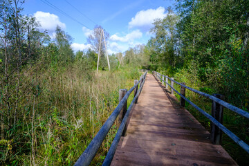 A wooden bridge, a path with a railing as a place for tourists to walk to a difficult environment in Latvia.