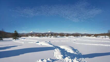 Obraz premium 겨울 , 눈, 12월 , 강설량, 하얀색 , 자연 , 풍경, 생성, 인공지능, 생성 AI,