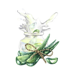 Aloe vera. Hand-drawn watercolor illustration. a bunch of aloe vera leaves, slices of aloe and a glass jar with aloe juice. Isolate. For packaging cosmetics and medicine. For banner, poster and flyer.