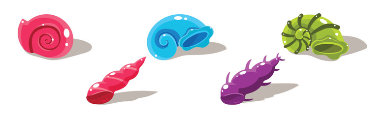 Colorful Shells and Conch Sea Element Vector Set