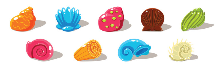 Colorful Shells and Conch Sea Element Vector Set