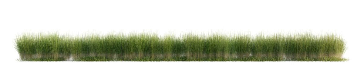 Obraz premium Green grass isolated on transparent background. 3D render. 