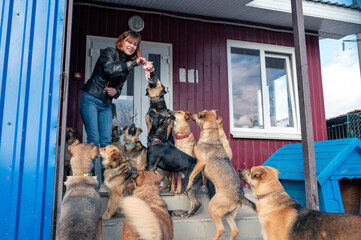 Animal shelter volunteer takes care of dogs. Dog at the shelter. Lonley dogs in cage with cheerful...