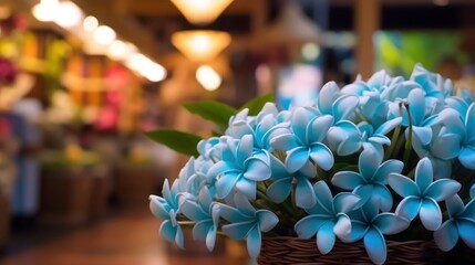 Beautiful Frangipani or Plumeria flowers. Springtime Concept. Valentine's Day Concept with a Copy...