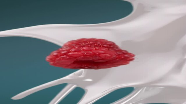 Fresh milk splash falling in slow motion with raspberry