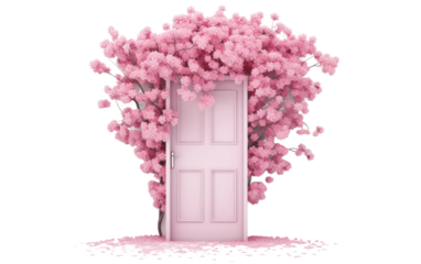 Cherry Blossom Long Door Isolated On a Clear Surface or PNG Transparent Background.