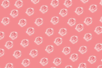 seamless pattern with pink roses