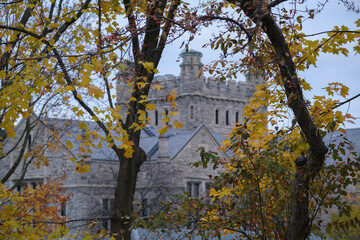 Fall colors Autumn romantic picturesque landscape scenery in Montreal, Quebec Canada Indian Summer natural beauty glowing changing leaves residential houses hoods