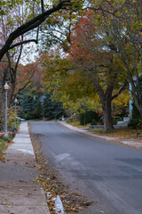 Fototapeta premium Fall colors Autumn romantic picturesque landscape scenery in Montreal, Quebec Canada Indian Summer natural beauty glowing changing leaves residential houses hoods