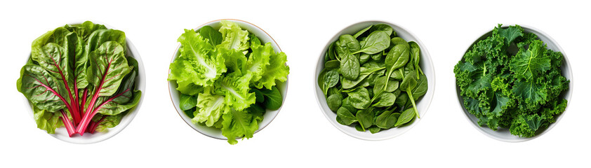 Top view of chard, lettuce, spinach and kale in bowls over isolated transparent background
