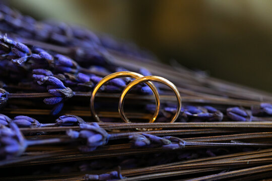 anillos, anillas, anillo, alianzas, doble, par, dos, amor, pareja, macro, zoom, lavanda, planta, aroma