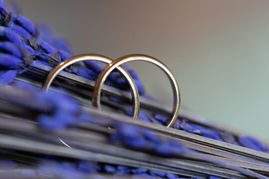 anillos, anillas, anillo, alianzas, doble, par, dos, amor, pareja, macro, zoom, lavanda, planta, aroma