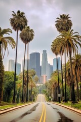 Viale con palme città americana