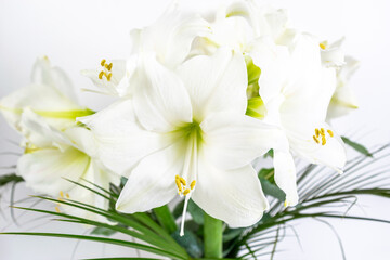 Bouquet of beautiful white lilies decorated with exotic green leaves on a white background. Greeting flowers card.
