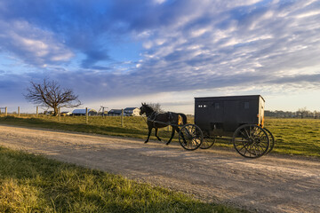 Fototapeta na wymiar Amish Buggy and morning landscape