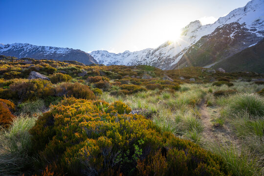 In the photo is shown view from Hooker valley with sun setting behind the mountain.