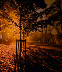 Street near Julianowski Park in Lodz lit with street lamps on a cloudy foggy autumn night, Lodz, Poland.